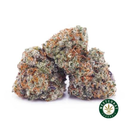 Fruit Loopz AAAA (Popcorn Nugs) - West Coast Cannabis