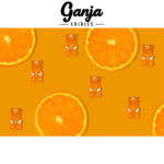 Ganja Edibles - Ganja Bears 150mg THC - West Coast Cannabis