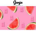 Ganja Edibles - Ganja Bears 150mg THC - West Coast Cannabis