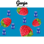 Ganja Edibles - Sour Ganja Bears 150mg THC - West Coast Cannabis