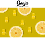 Ganja Edibles - Sour Ganja Bears 150mg THC - West Coast Cannabis