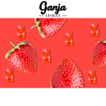 Ganja Edibles - Sour Ganja Bears 150mg THC - West Coast Cannabis