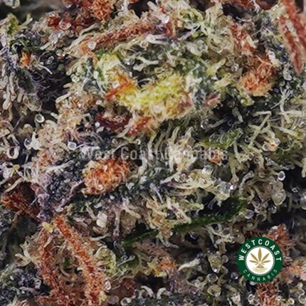 Gary Payton AAAA - West Coast Cannabis