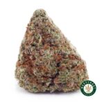 Gelato #41 AAA - West Coast Cannabis
