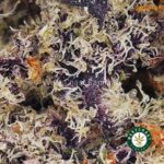 Gelato Mintz AAAA (Popcorn Nugs) - West Coast Cannabis