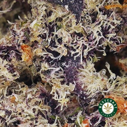 Gelato Mintz AAAA (Popcorn Nugs) - West Coast Cannabis