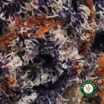 Ghost OG AAA - West Coast Cannabis