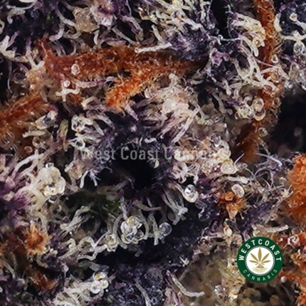Ghost OG AAA - West Coast Cannabis