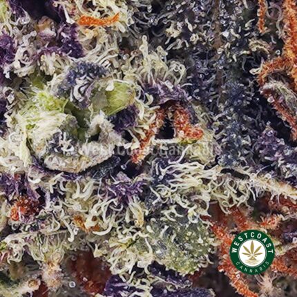 Ghost Train Haze AAA - West Coast Cannabis