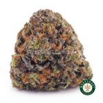 GMO Cookies AAA - West Coast Cannabis