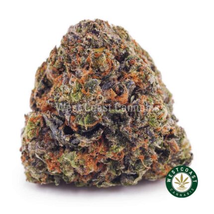 GMO Cookies AAA - West Coast Cannabis