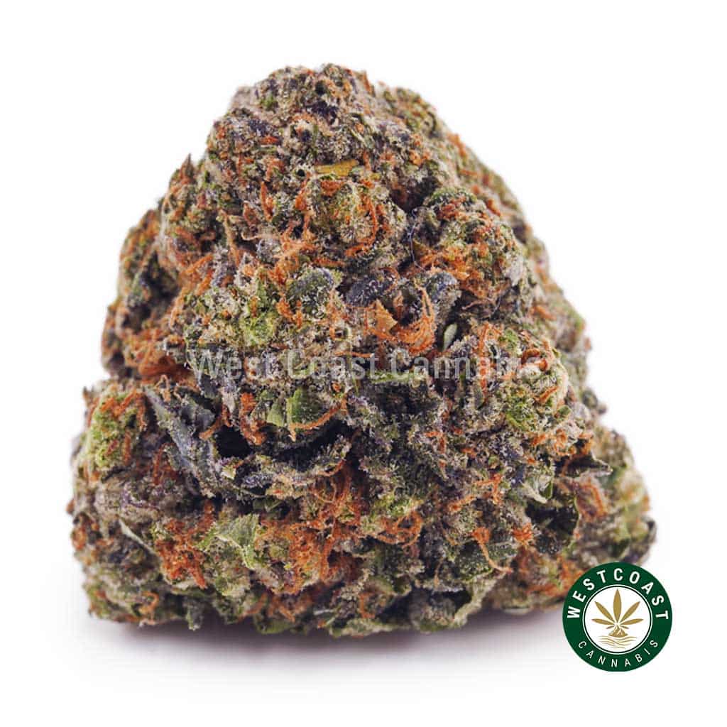 GMO Cookies AAA - West Coast Cannabis GMO Cookies AAA - West Coast Cannabis