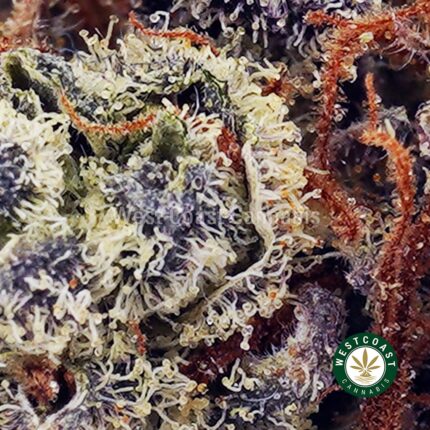 God's Gift AAAA - West Coast Cannabis