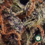 Gorilla Breath AAA - West Coast Cannabis