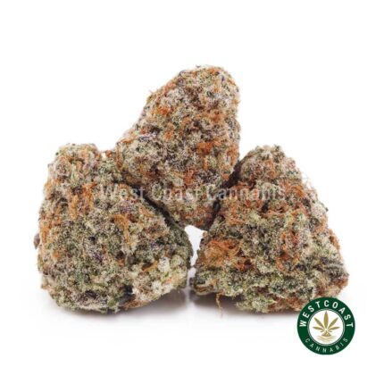Gorilla Cookies AAAA (Popcorn Nugs) - West Coast Cannabis
