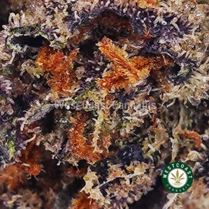 Grape Crush AAAA - West Coast Cannabis
