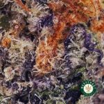 Guava Cake AAAA (Popcorn Nugs) - West Coast Cannabis