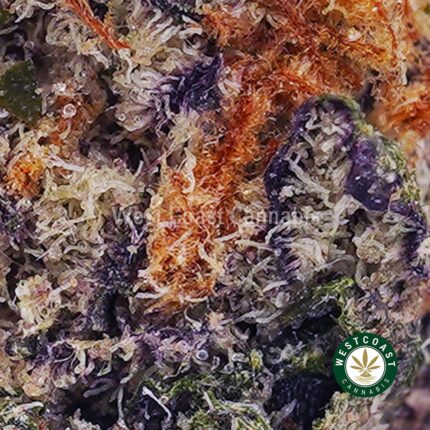Guava Cake AAAA (Popcorn Nugs) - West Coast Cannabis