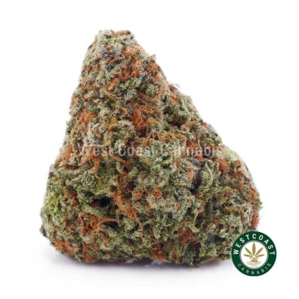 Guava Gelato AAA - West Coast Cannabis
