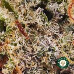 Gushers AAA - West Coast Cannabis