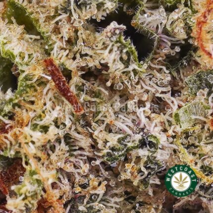 Gushers AAA - West Coast Cannabis