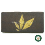 Hash - Notorious - West Coast Cannabis