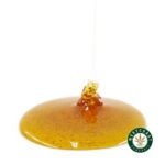 Honey Oil - Blue Lobster (Indica) - West Coast Cannabis