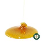 Honey Oil - Gusher (Indica) - West Coast Cannabis
