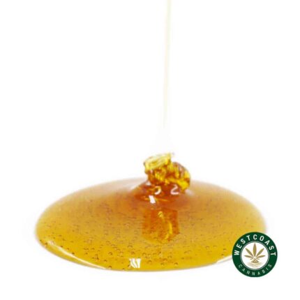 Honey Oil - Gusher (Indica) - West Coast Cannabis