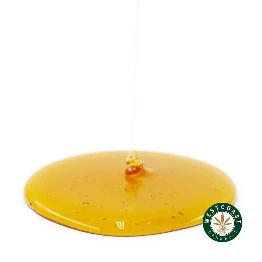 Honey Oil - Pink Wagyu (Hybrid) - West Coast Cannabis Honey Oil - Pink Wagyu (Hybrid) - West Coast Cannabis