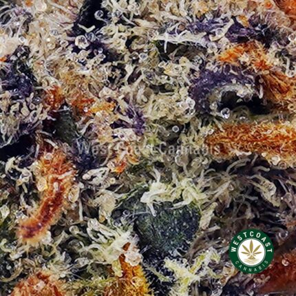 Ice Cream Cake AAA - West Coast Cannabis