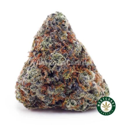 Ice Cream Cake AAA - West Coast Cannabis