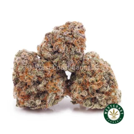 Ice Cream Cookies AAAA (Popcorn Nugs) - West Coast Cannabis