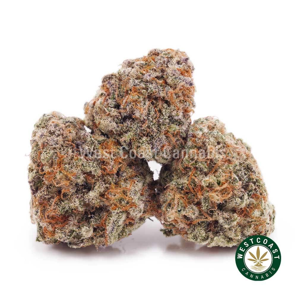Ice Cream Cookies AAAA (Popcorn Nugs) - West Coast Cannabis Ice Cream Cookies AAAA (Popcorn Nugs) - West Coast Cannabis