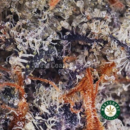 Jean Guy AAAA - West Coast Cannabis