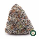 Jean Guy AAAA - West Coast Cannabis