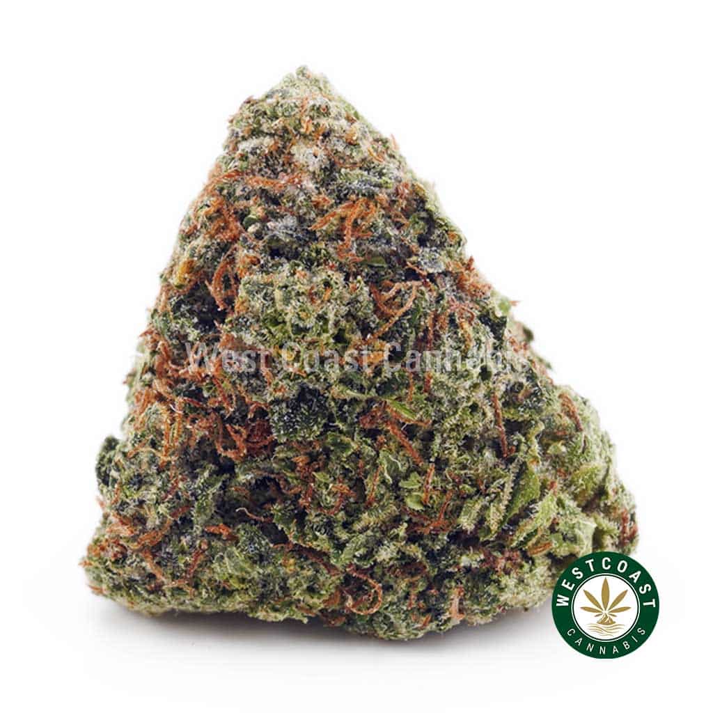 Jet Fuel OG AAAA - West Coast Cannabis Jet Fuel OG AAAA - West Coast Cannabis