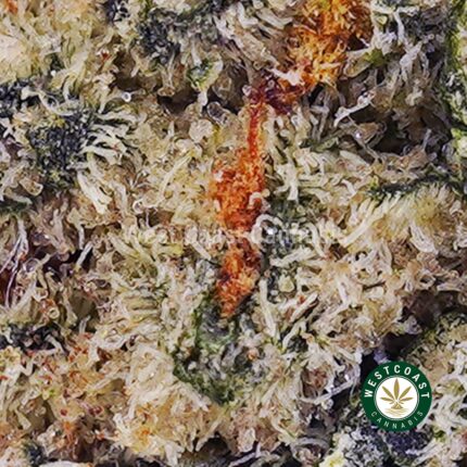 Jungle Mintz AAAA (Popcorn Nugs) - West Coast Cannabis