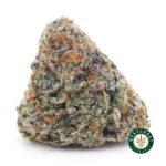 Khalifa Kush AAAA - West Coast Cannabis