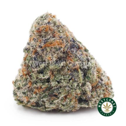 Khalifa Kush AAAA - West Coast Cannabis