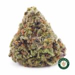 King Louie XIII AAA - West Coast Cannabis