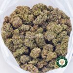 King Louie XIII AAA - West Coast Cannabis