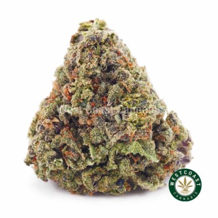 King Louie XIII AAA - West Coast Cannabis