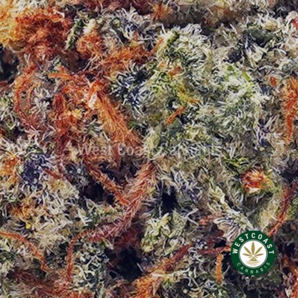 King Tut AA - West Coast Cannabis