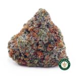 King Tut AA - West Coast Cannabis