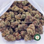King Tut AA - West Coast Cannabis