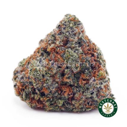 King Tut AA - West Coast Cannabis