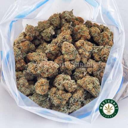 King's Kush AAA - West Coast Cannabis
