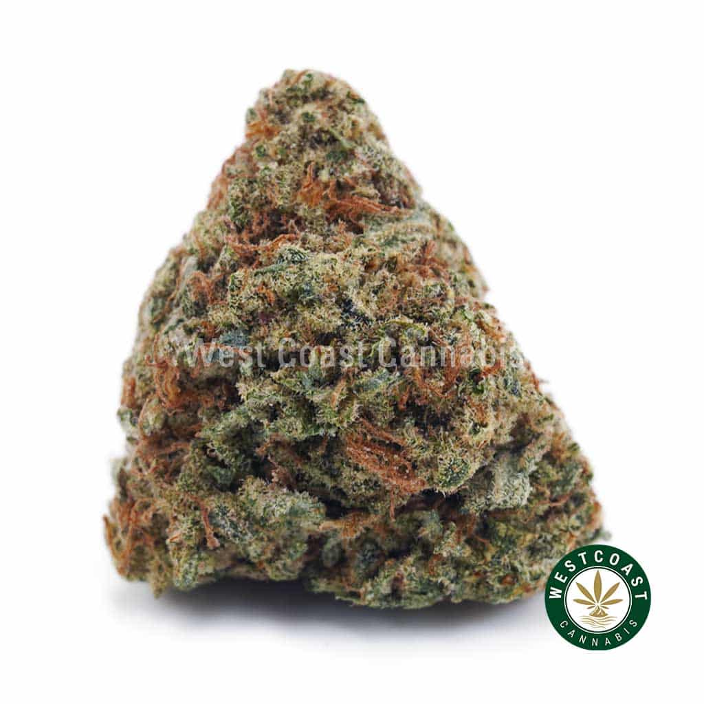 King's Kush AAA - West Coast Cannabis King's Kush AAA - West Coast Cannabis