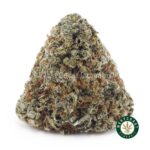 Kosher Kush AAA - West Coast Cannabis